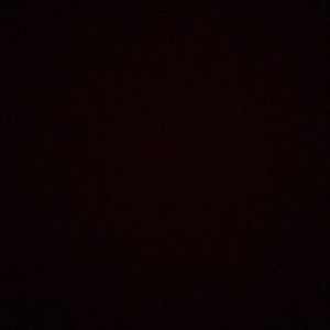 Meet your Posher, Natalia